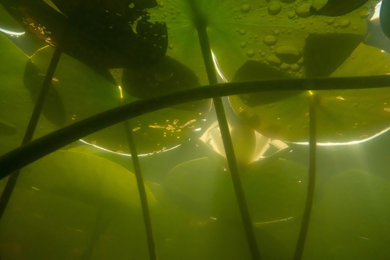 Unter Wasser, Hans-Christian Schink