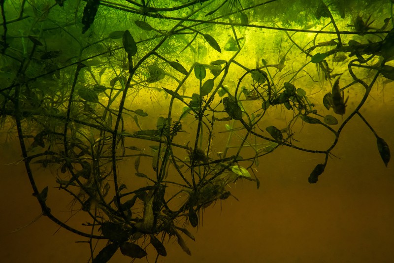 Unter Wasser, Ausstellung von Hans-Christian Schink in der Galerie Kicken, Berlin