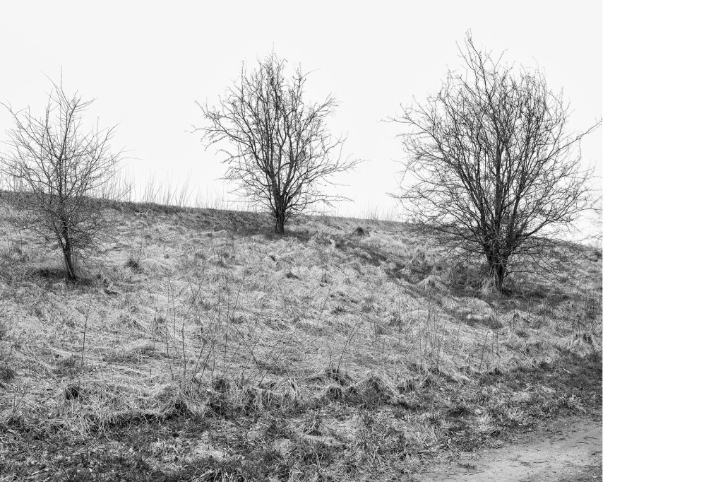 Fotografie Der Weg #20, aus dem Projekt 