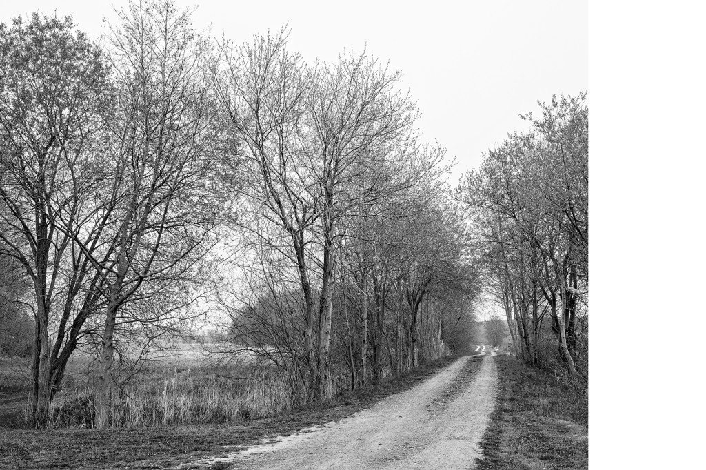 Der Weg #11, aus dem Projekt 