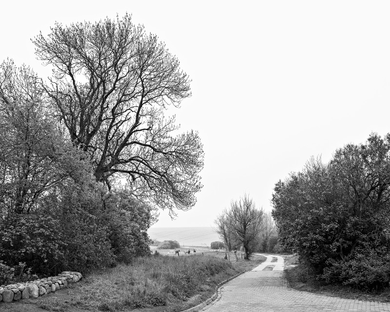 Der Weg #1 aus dem Projekt 