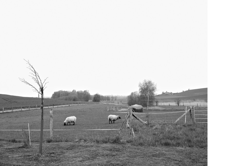 Der Weg #6, aus dem Projekt 