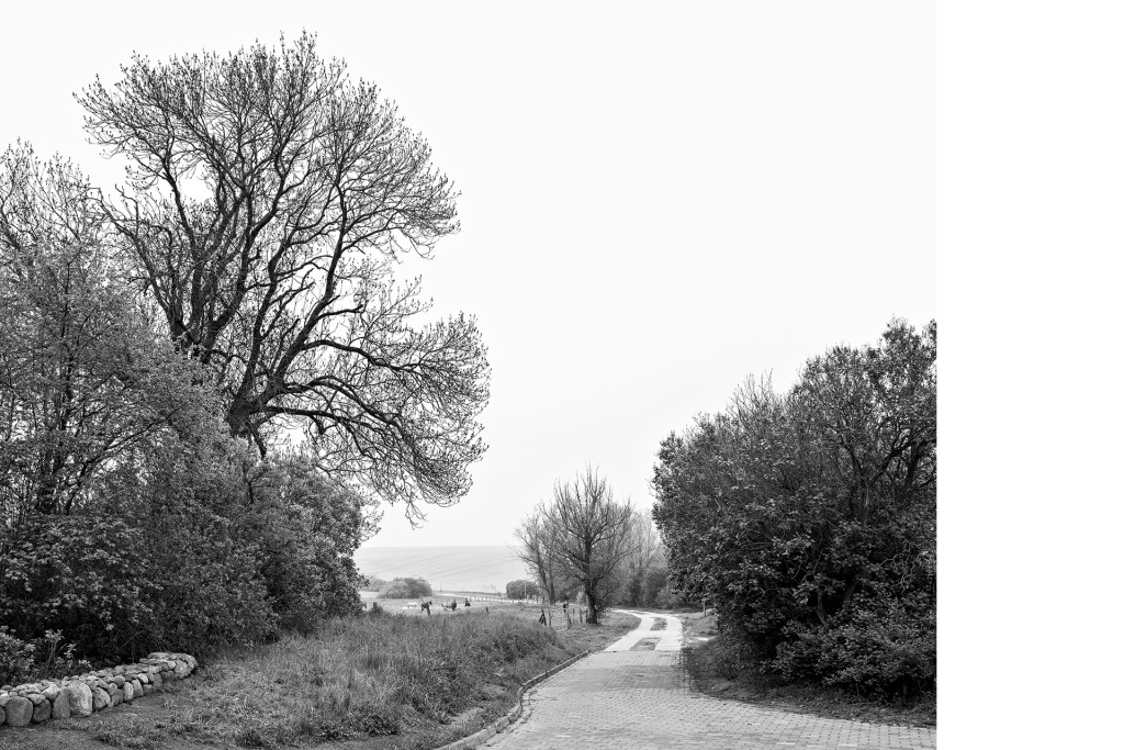 Der Weg #1, aus dem Projekt 