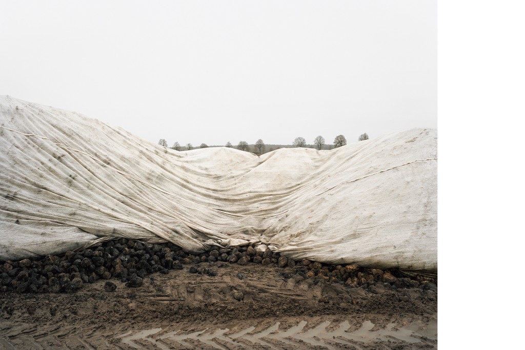 Bei Bredenfelde aus der Serie 