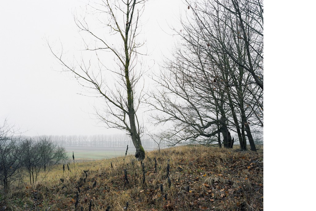 Zwischen Pasewalk und Dargitz, 