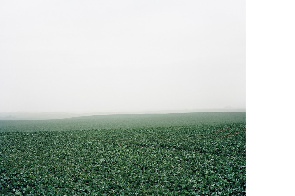 Zwischen Schwarzensee und Schönhausen