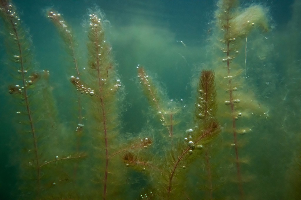 Unter Wasser, Hans-Christian Schink