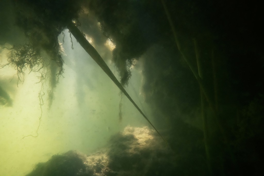 Unter Wasser, Hans-Christian Schink