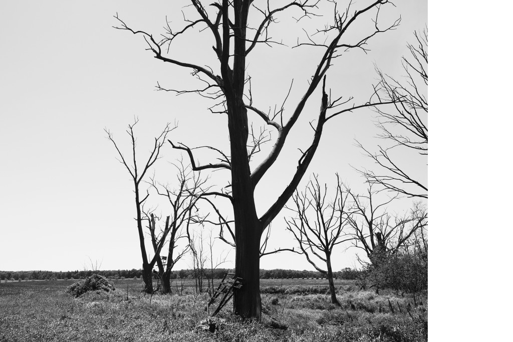 Soll bei Krumbeck, Unter Wasser von Hans-Christian Schink