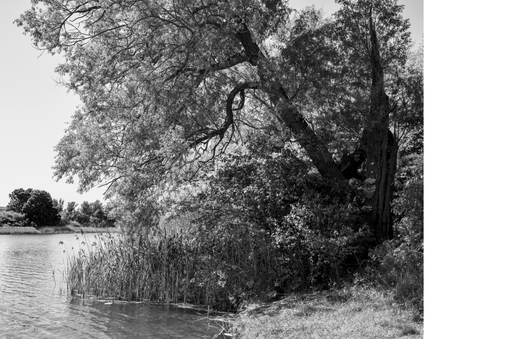 Balliner See, Projekt 