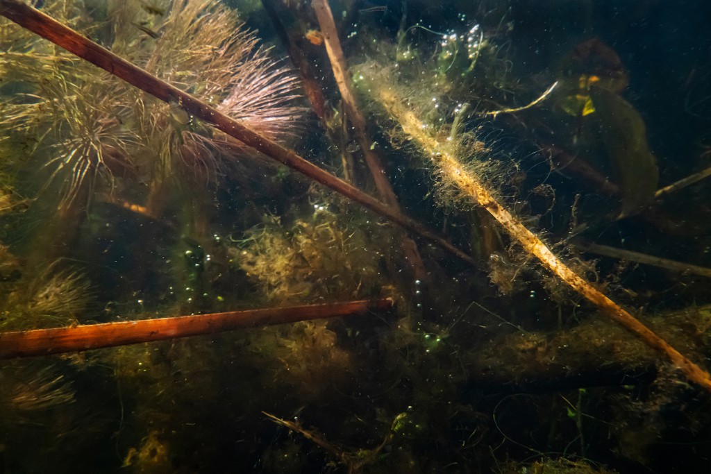 Unter Wasser, Hans-Christian Schink