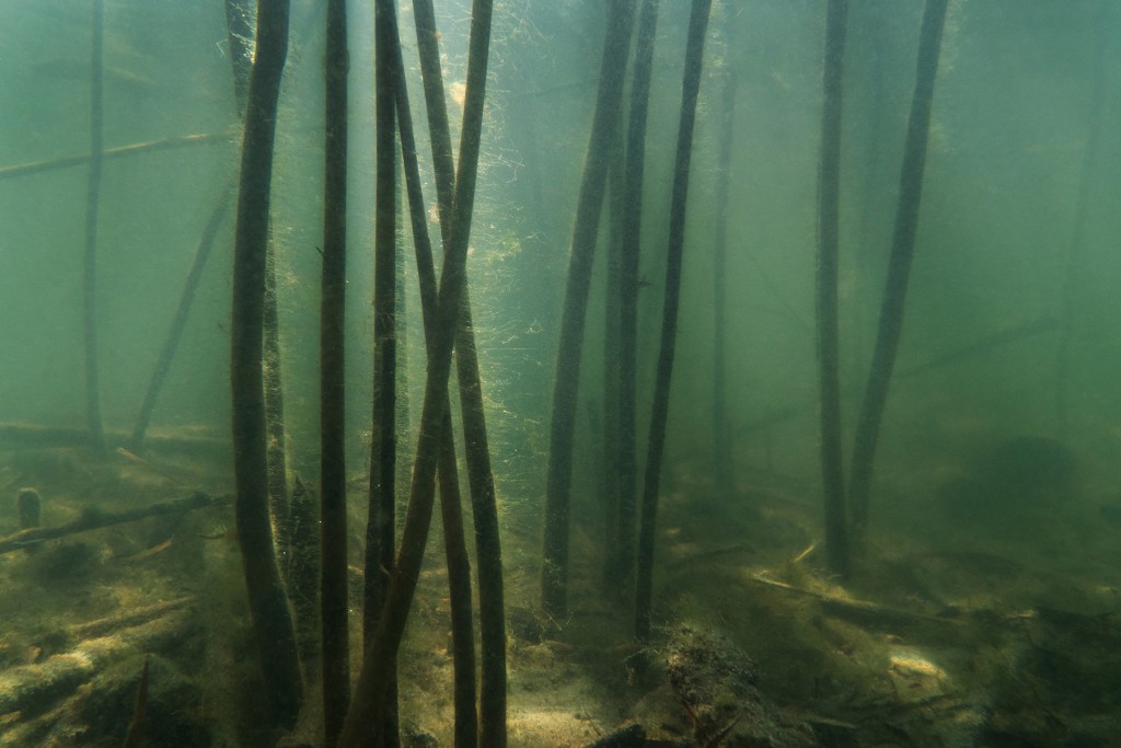 Unter Wasser #6, Projekt 