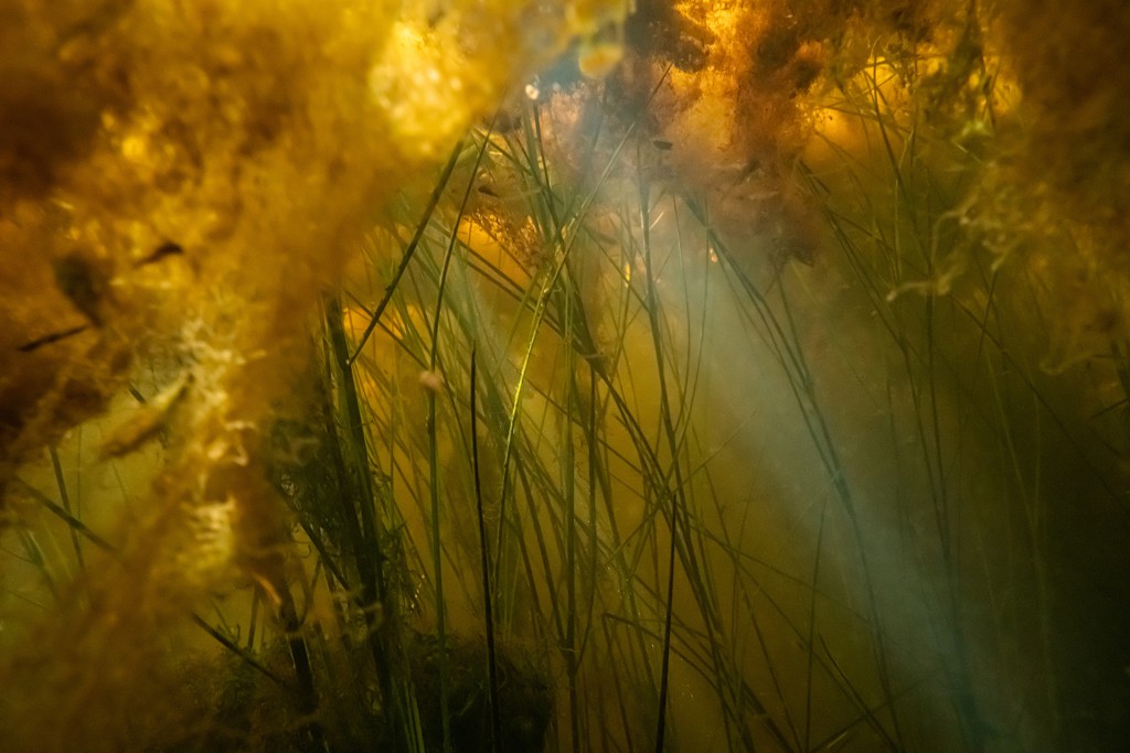 Unter Wasser, Hans-Christian Schink