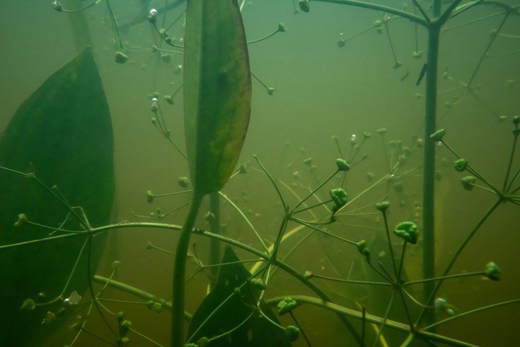 Unter Wasser, Hans-Christian Schink