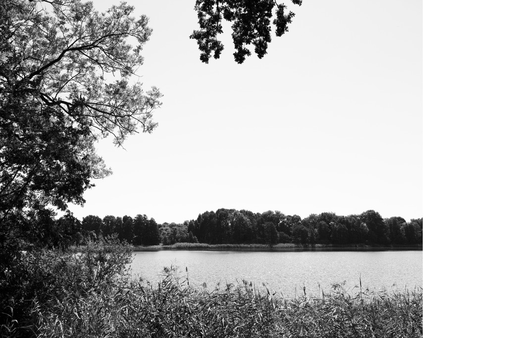 Camminer See, Unter Wasser von Hans-Christian Schink