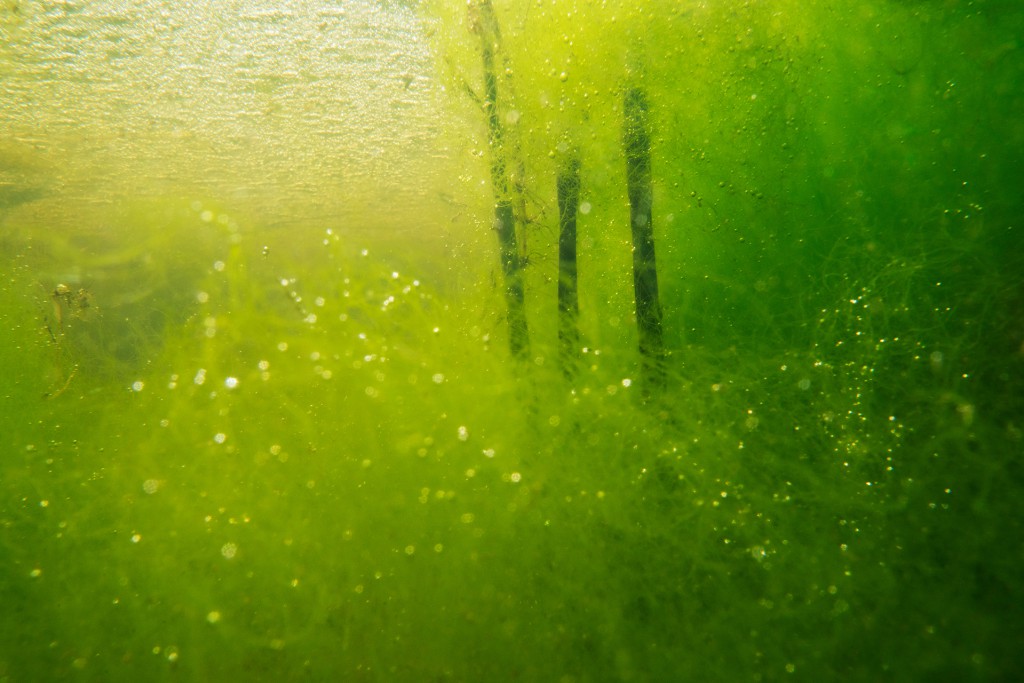 Unter Wasser von Hans-Christian Schink