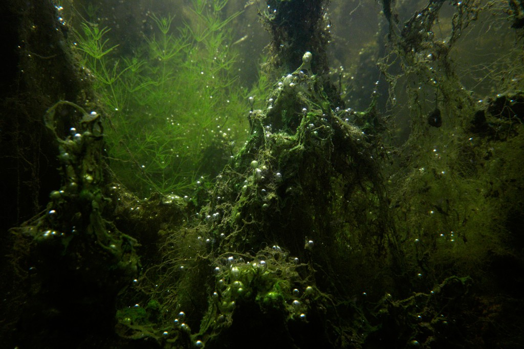 Unter Wasser von Hans-Christian Schink