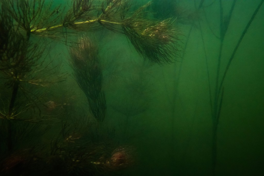 Unter Wasser, Hans-Christian Schink