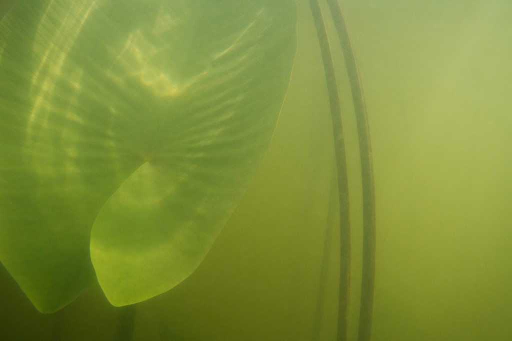 Unter Wasser, Hans-Christian Schink