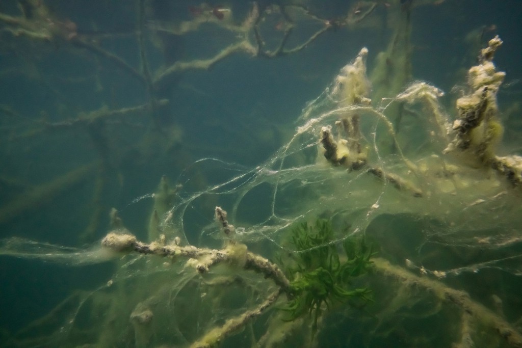 Unter Wasser, Hans-Christian Schink