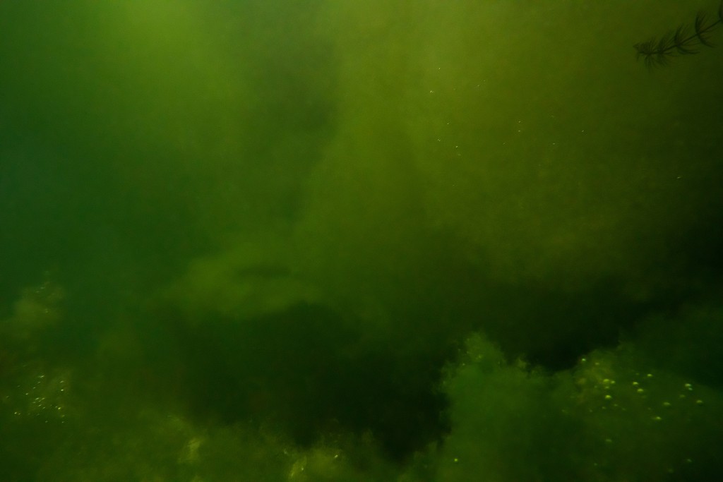 Unter Wasser, Hans-Christian Schink