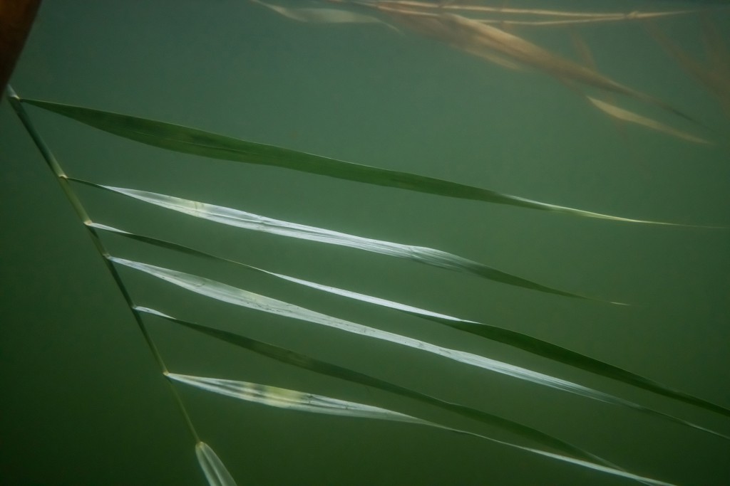 Unter Wasser, Hans-Christian Schink