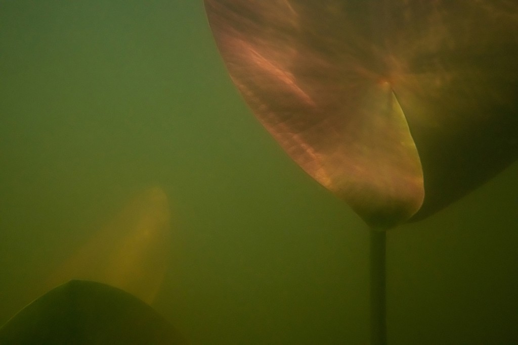 Unter Wasser, Hans-Christian Schink