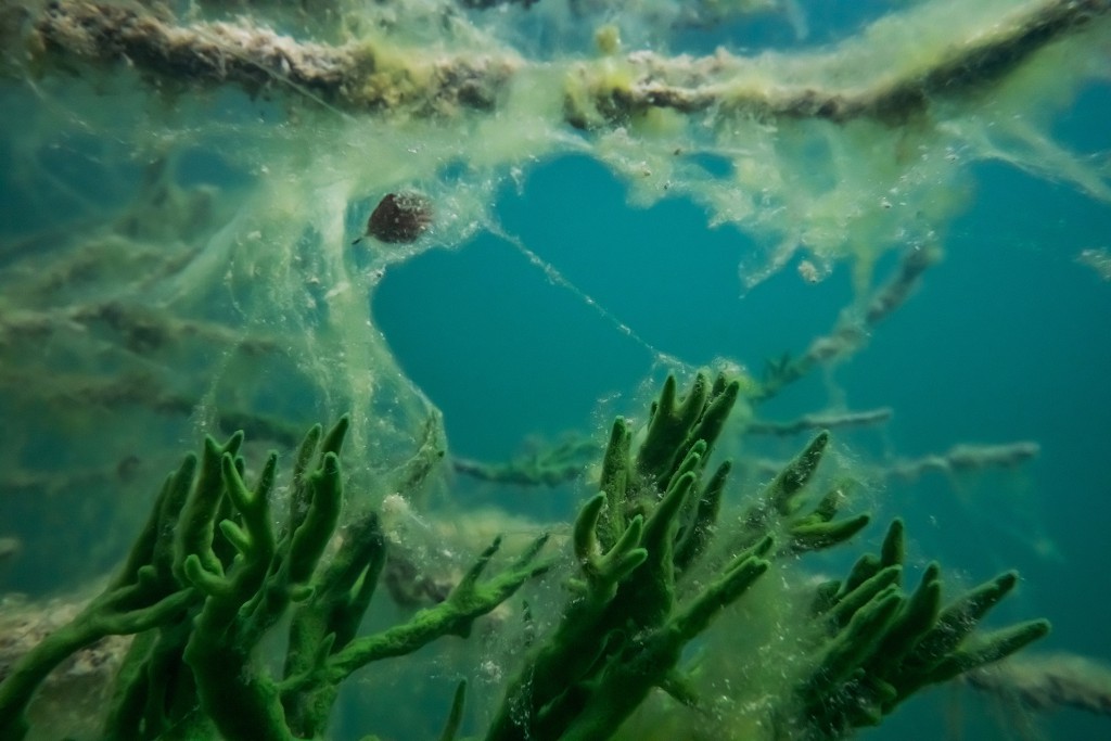 Unter Wasser, Hans-Christian Schink