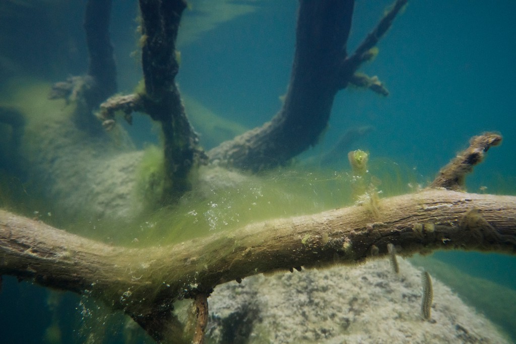 Unter Wasser, Hans-Christian Schink