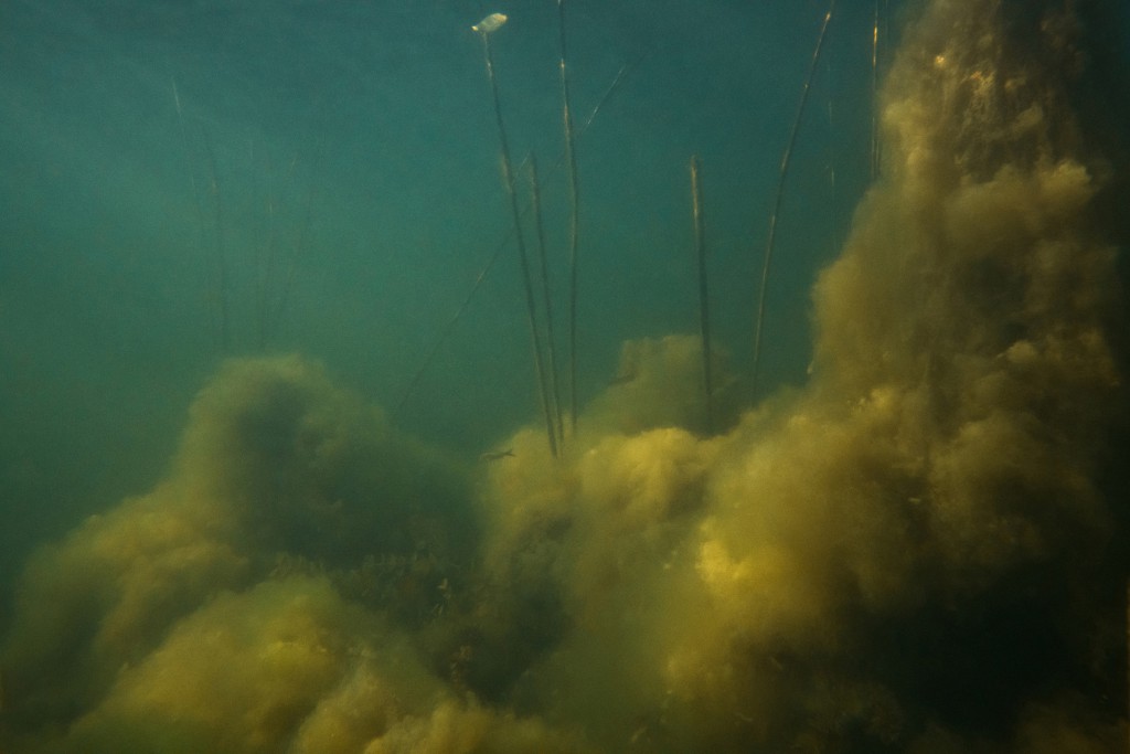 Unter Wasser, Hans-Christian Schink