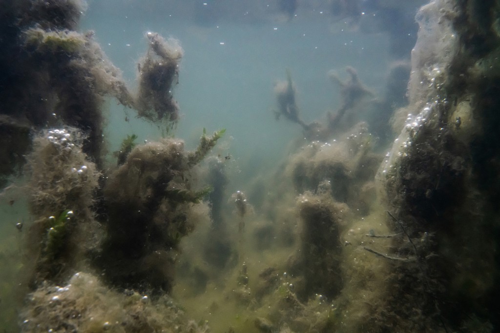 Unter Wasser, Hans-Christian Schink