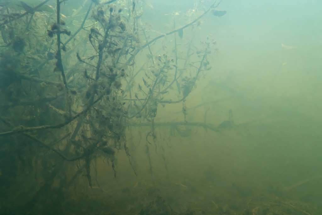 Unter Wasser, Hans-Christian Schink