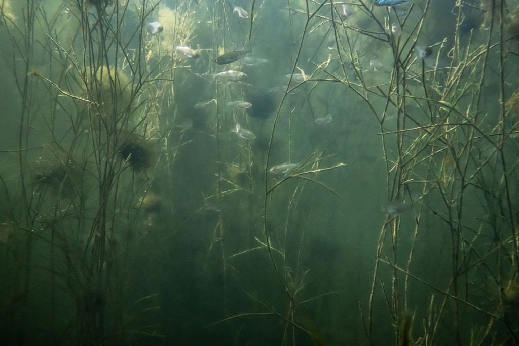 Unter Wasser, Hans-Christian Schink