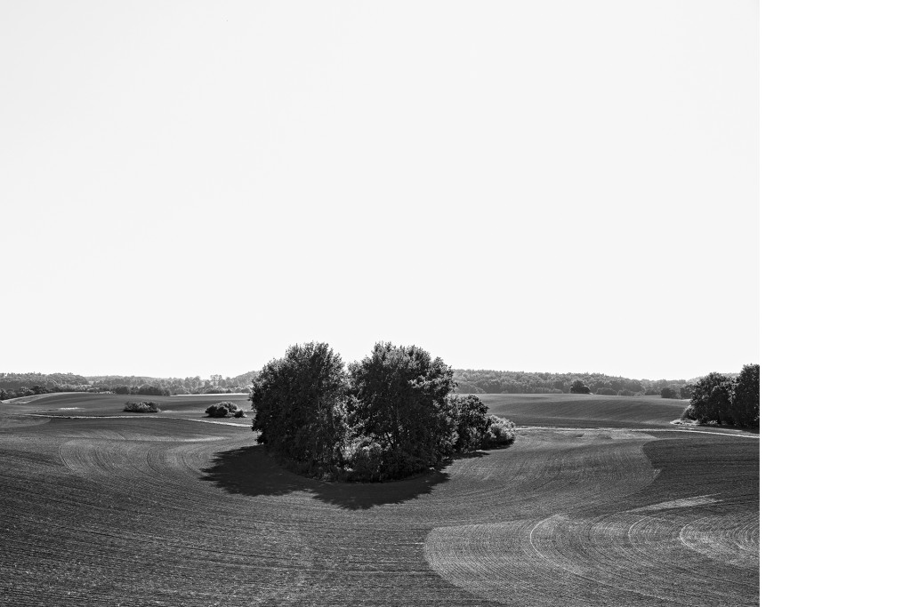 Sölle bei Grauenhagen, Projekt 