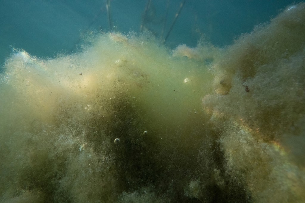 Unter Wasser, Hans-Christian Schink