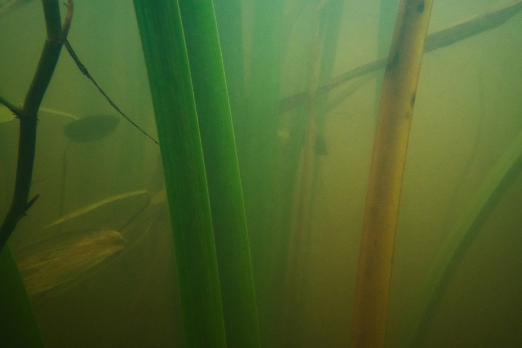 Unter Wasser, Hans-Christian Schink