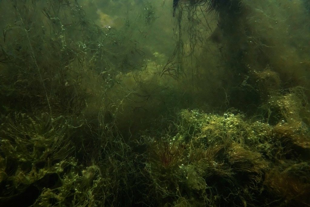 Unter Wasser, Hans-Christian Schink