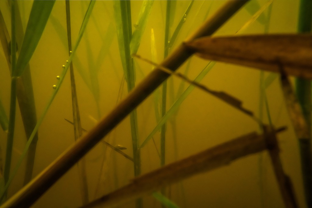 Unter Wasser, Hans-Christian Schink