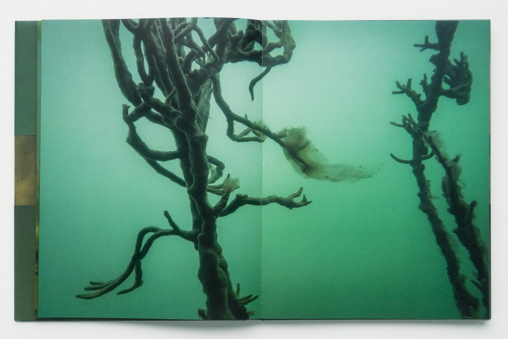 Unter Wasser Book double page