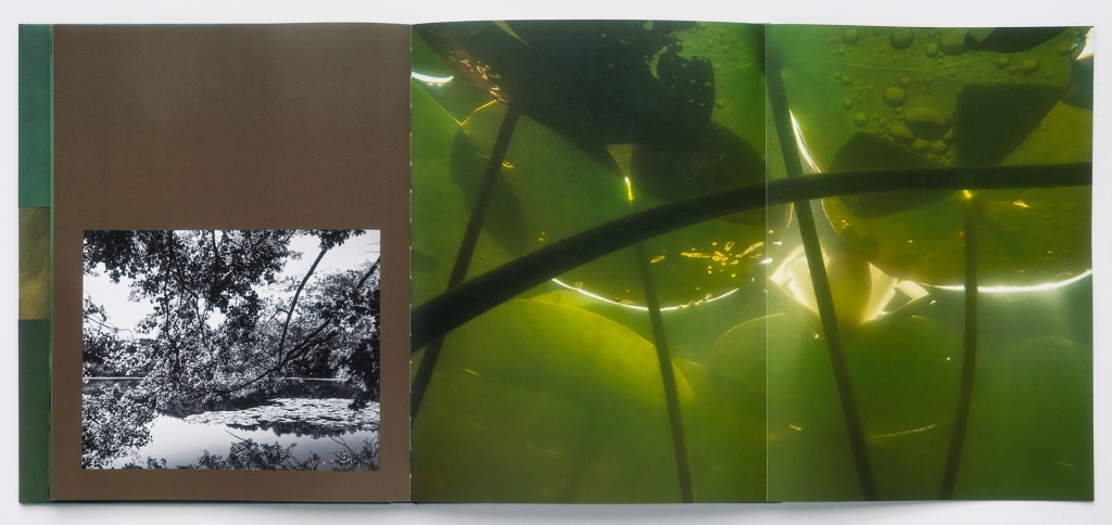 Buch Unter Wasser, Doppelseite mit ausgeklappter Klapptafel Bild #53